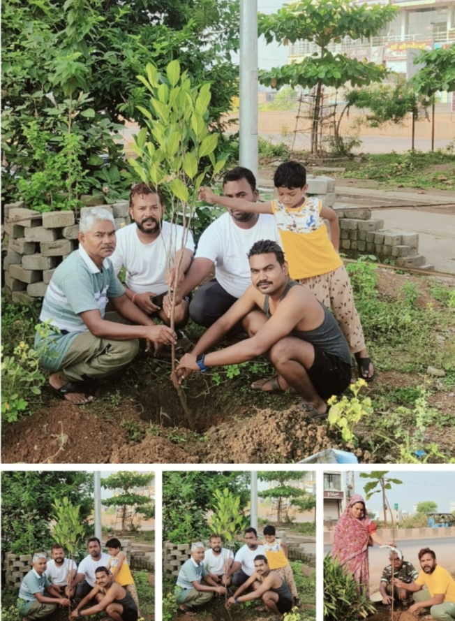 *आनंदम सेवा संस्थान द्वारा शरदपूर्णिमा के दिन सफाई अभियान और वृक्षारोपण का आयोजन*